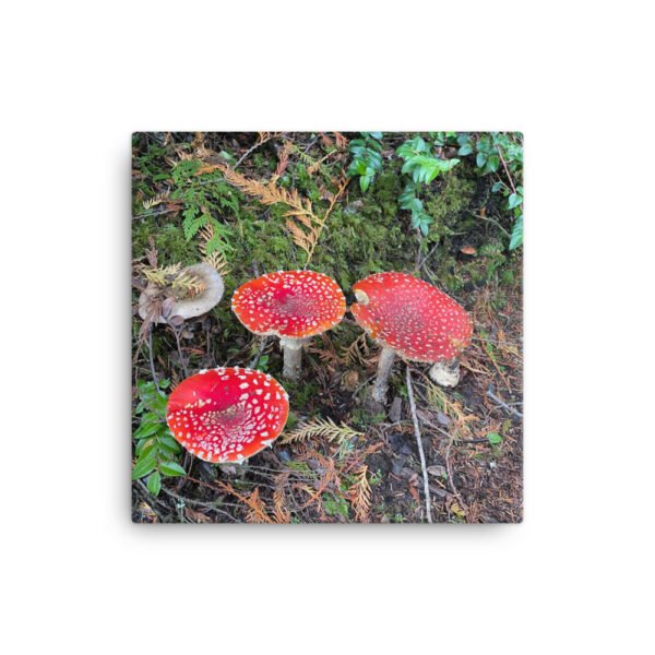 Red Mushroom Canvas - Image 2