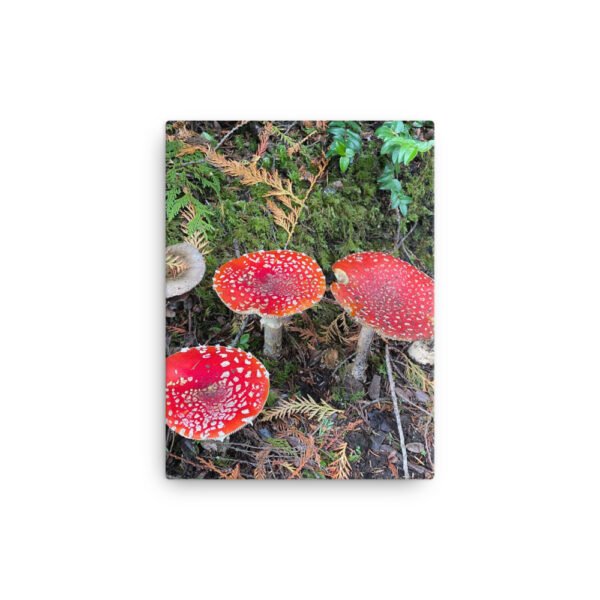 Red Mushroom Canvas