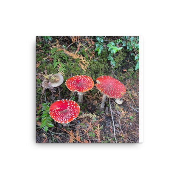 Red Mushroom Canvas - Image 3