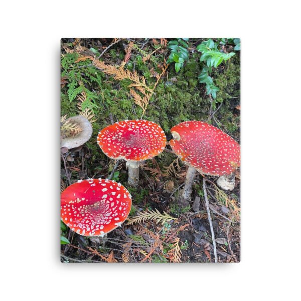 Red Mushroom Canvas - Image 4