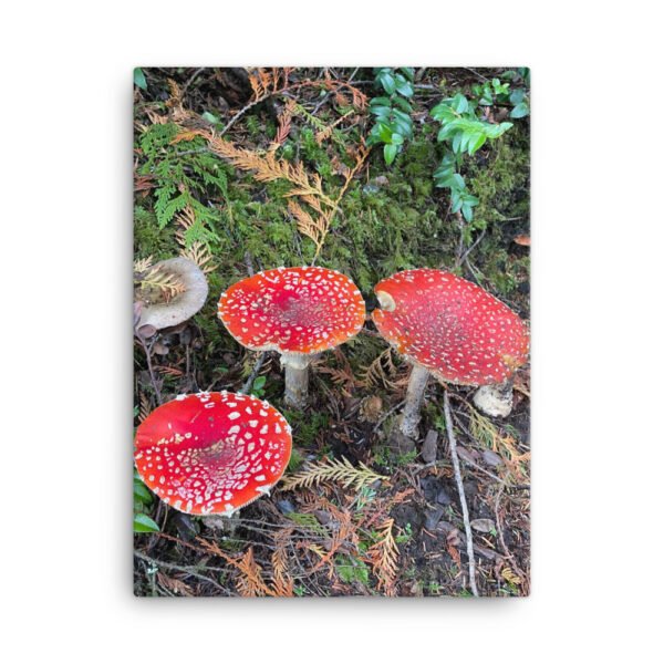 Red Mushroom Canvas - Image 5