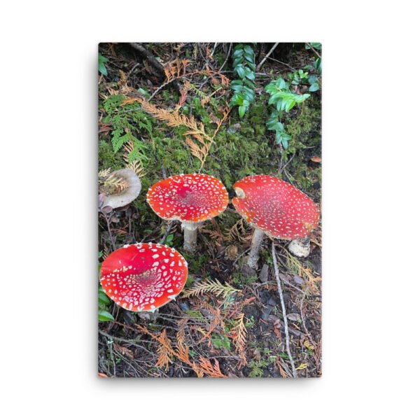 Red Mushroom Canvas - Image 6